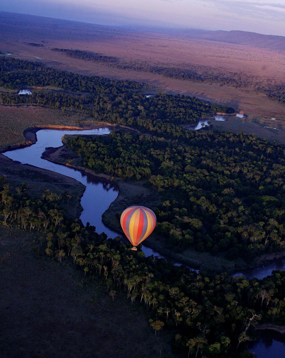 Balloon Safariss