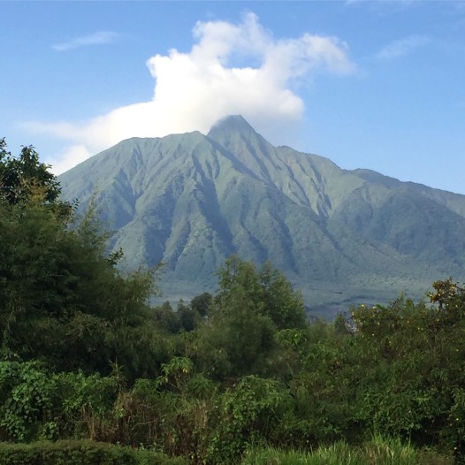 volcanoes-national-park-rwanda_t20_4J0zRa