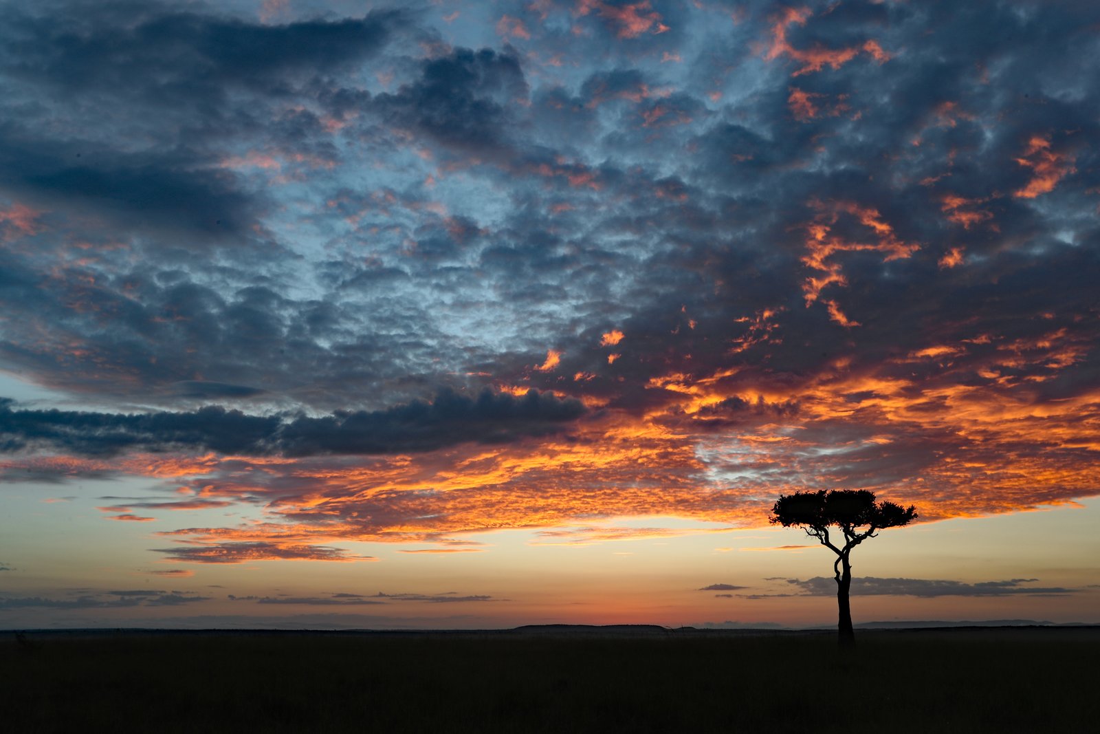 Hot air balloon over Masai Mara at sunrise