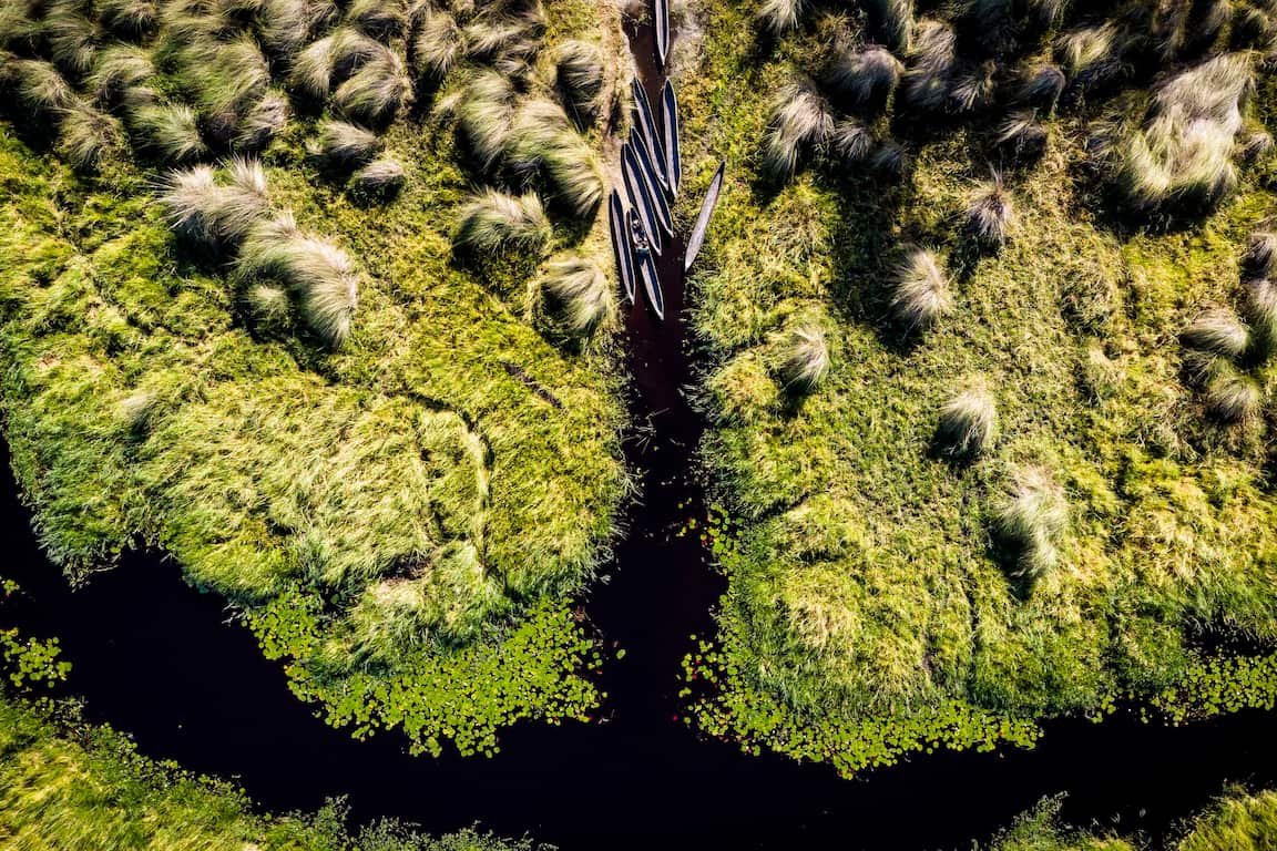 Moremi Game Reserve