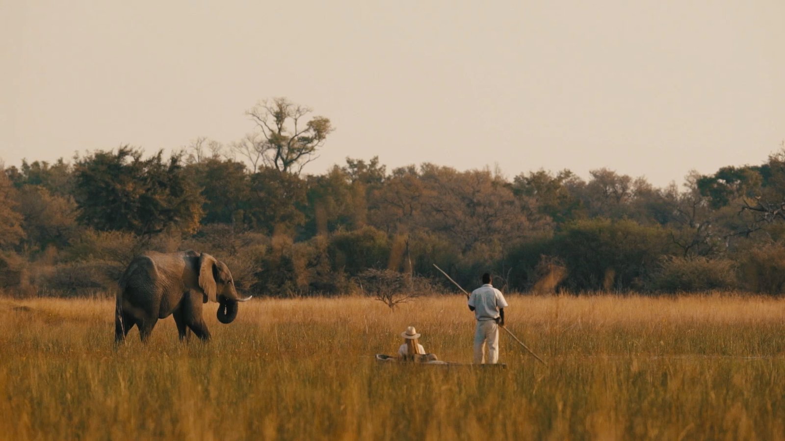 Kalahari and Makgadikgadi landscape