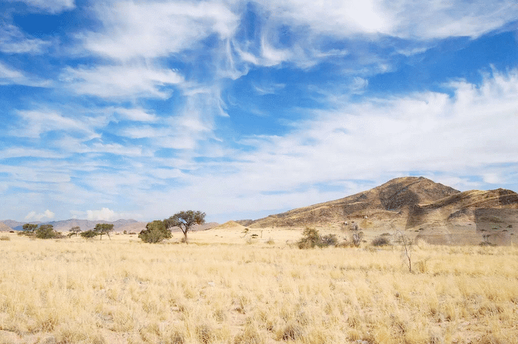 Kalahari and Makgadikgadi landscape