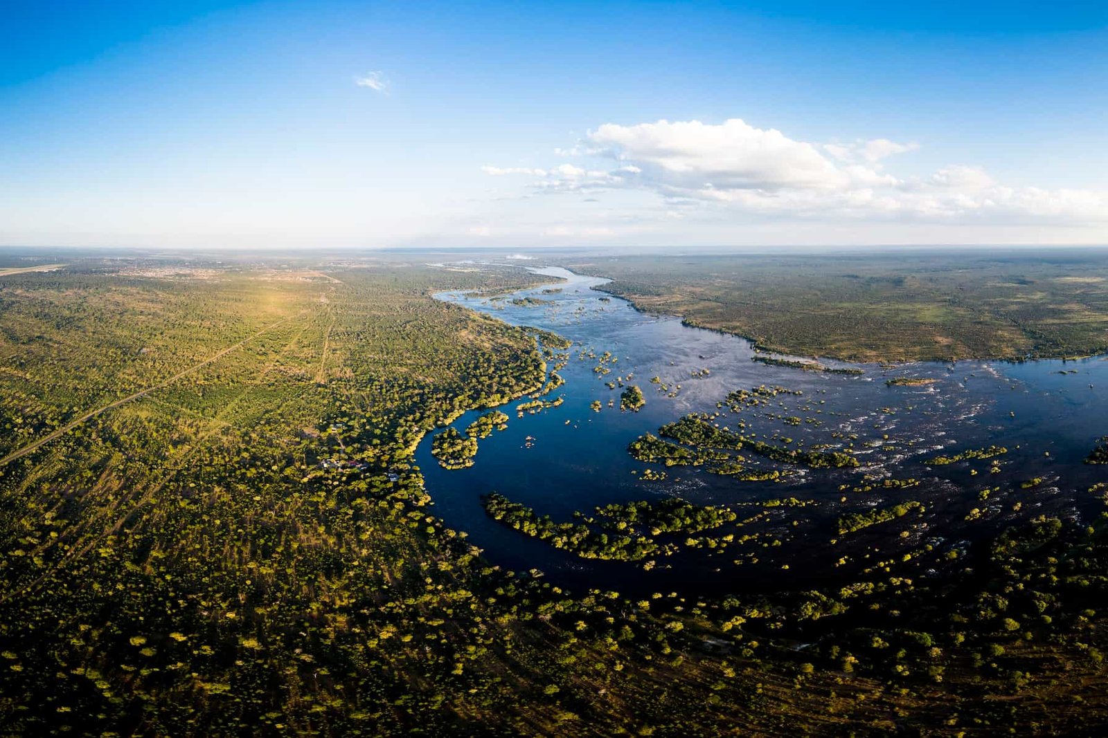 Elephants at the Chobe River
