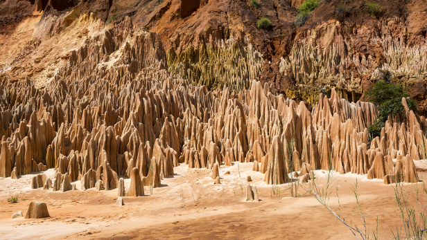Jagged limestone needles of Tsingy de Bemaraha
