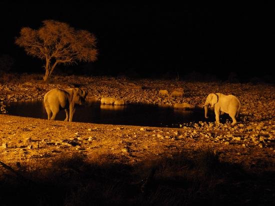Floodlit waterhole at an Etosha lodge at night