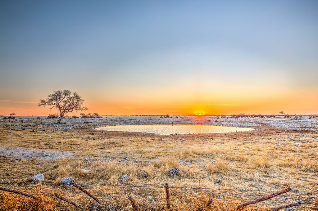 The vast salt pan of Etosha National Park