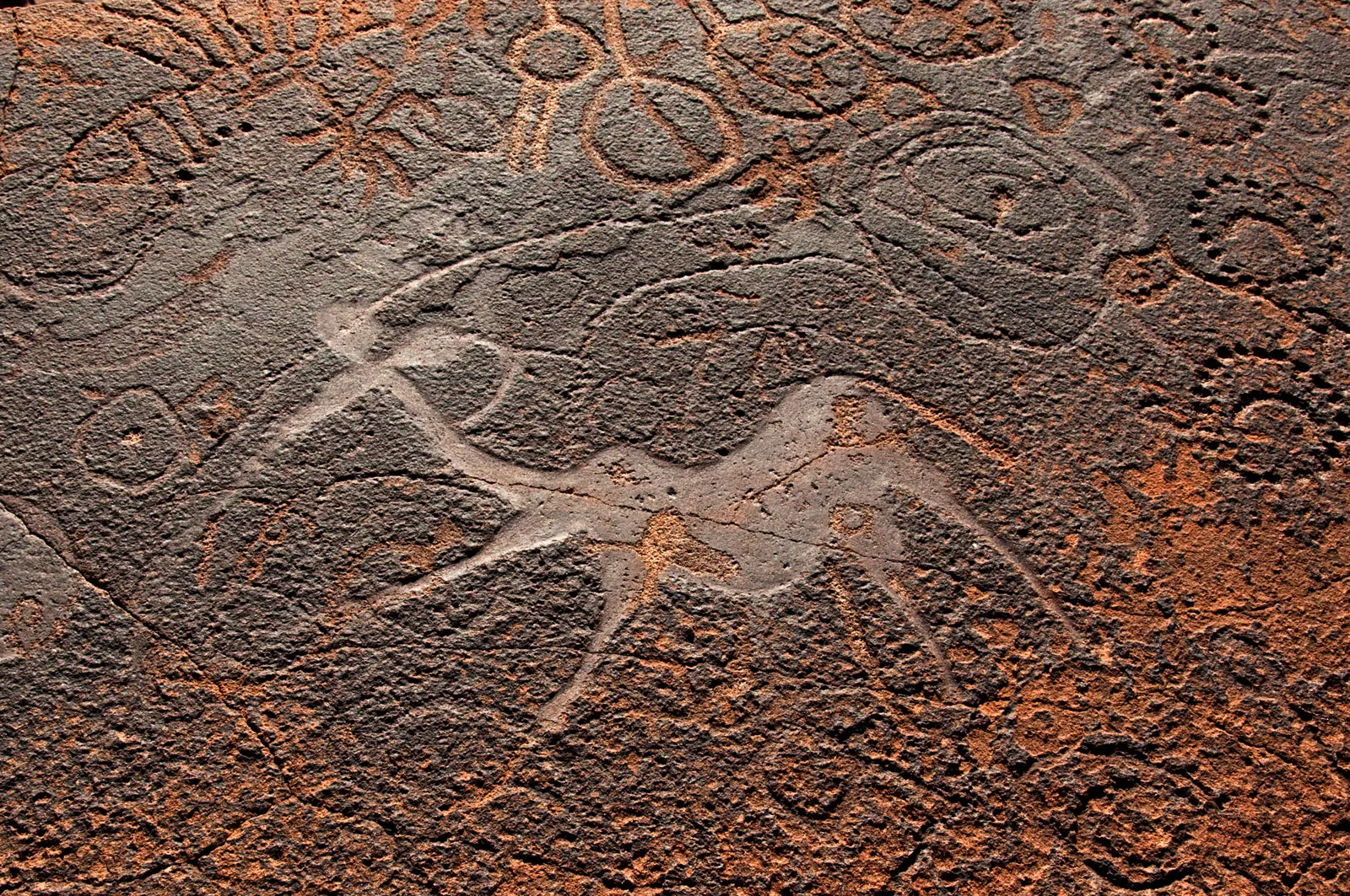 Ancient rock engravings at Twyfelfontein