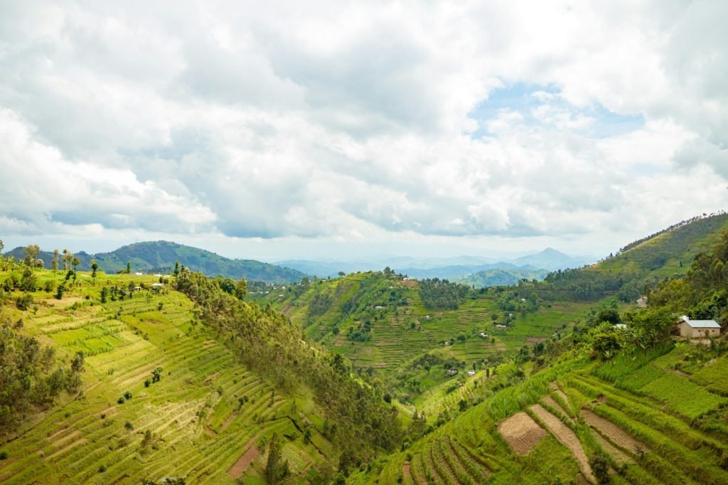 Rolling green hills of Rwanda