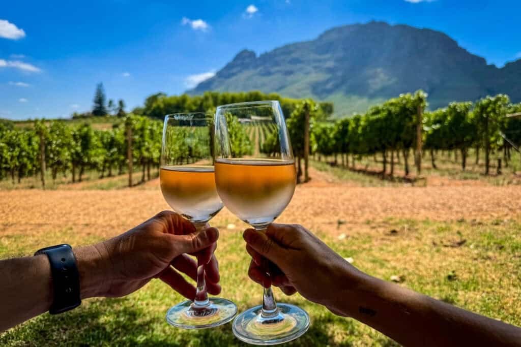 Wine tasting in the Cape Winelands