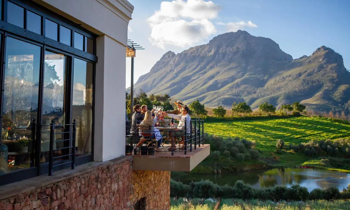 Vineyards of Stellenbosch in the Cape Winelands