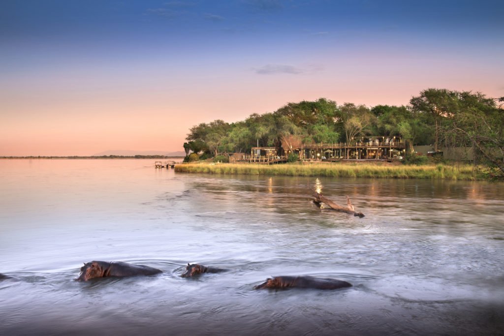 Professional Zambian safari guide in the bush