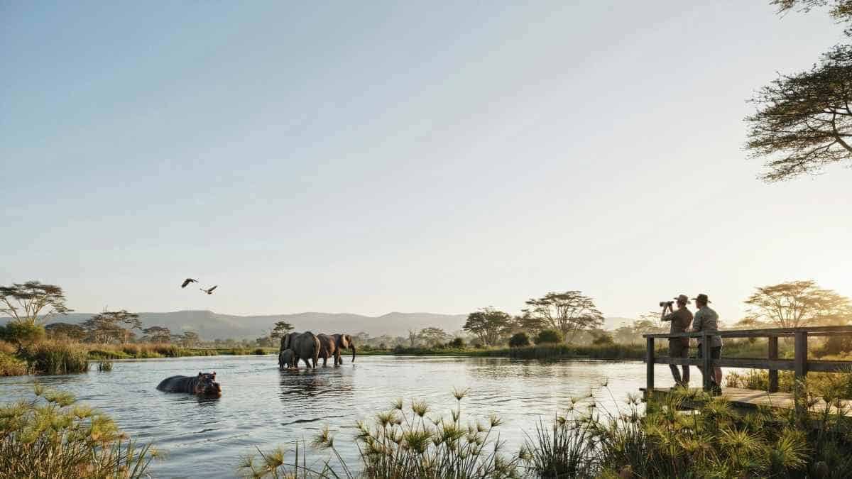 Dry season game viewing in Zimbabwe
