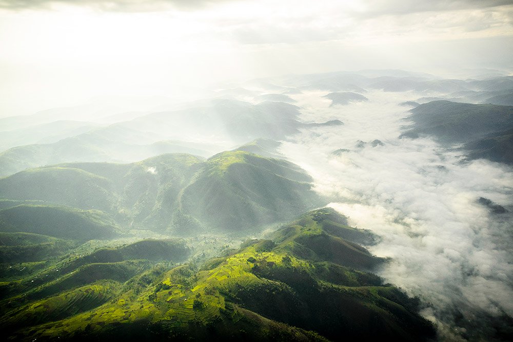 Bwindi Impenetrable Misty Forest, Uganda