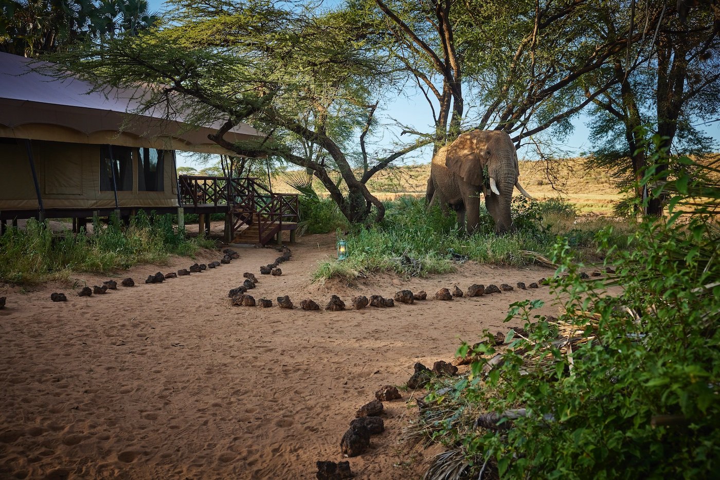 Luxury safari tent at Elephant Bedroom Camp in Samburu National Reserve