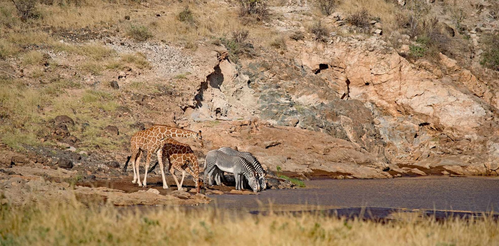 Scene at Elephant Bedroom Camp in Samburu National Reserve, northern Kenya