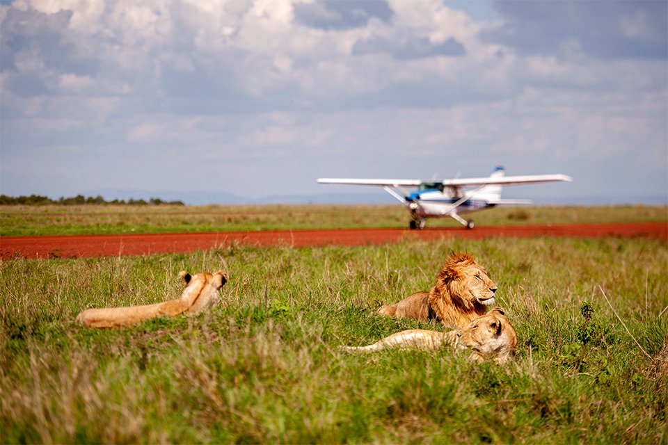 Arrival at Olkiombo airstrip Masai Mara Kenya safari