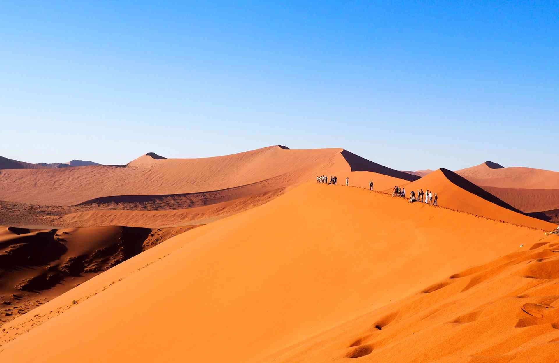 Hikers climbing the ridge of Big Daddy dune at Sossusvlei, Namibia