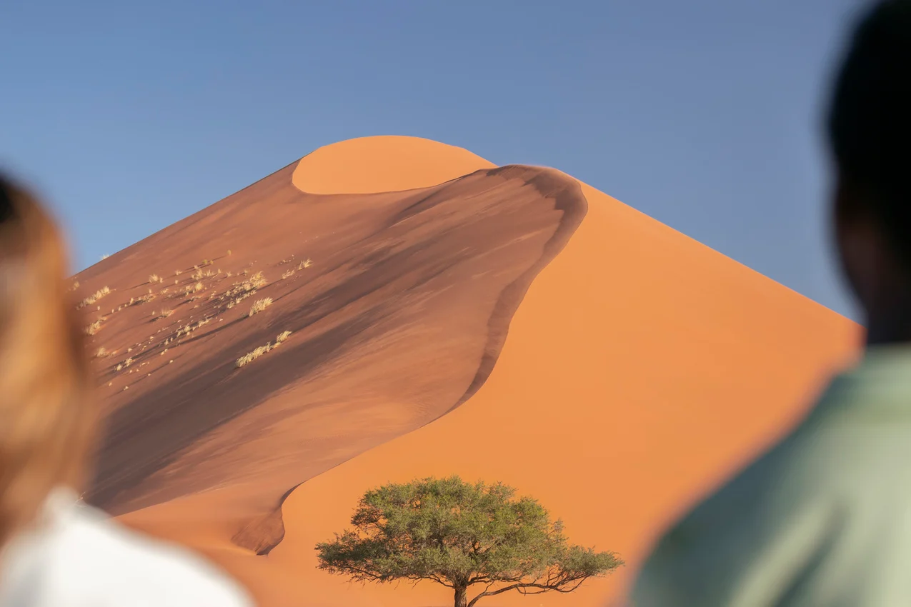 Dead camel thorn trees against orange dunes at Deadvlei, Sossusvlei, Namibia