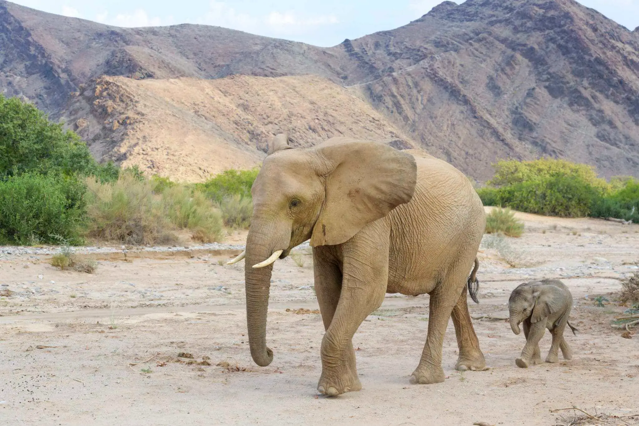 Rugged desert mountains of the Purros Conservancy in the Kunene Region, Namibia