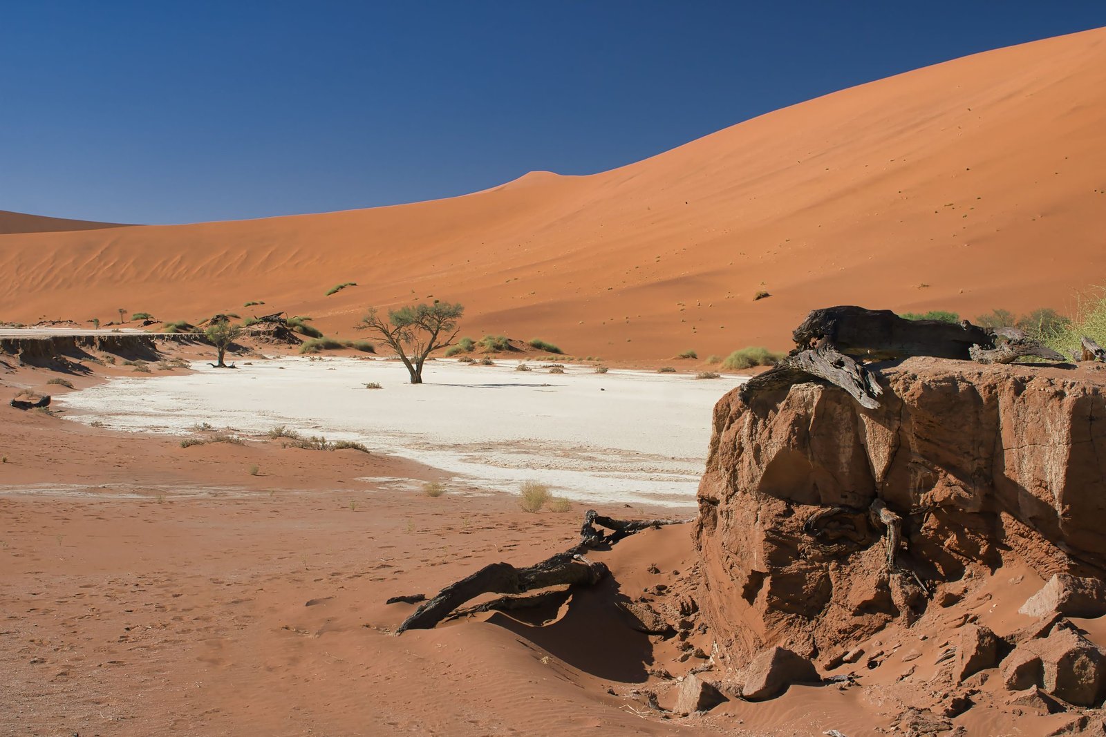 Red sand dunes of the Namib Desert near Sossusvlei, Namibia