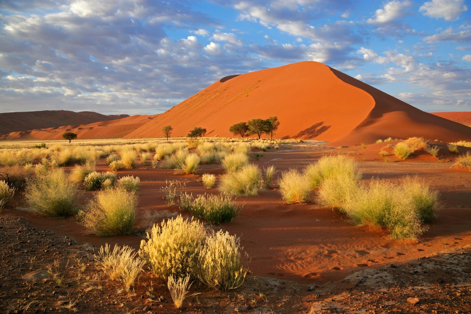 Vast Namib Desert landscape in Namibia, southern Africa
