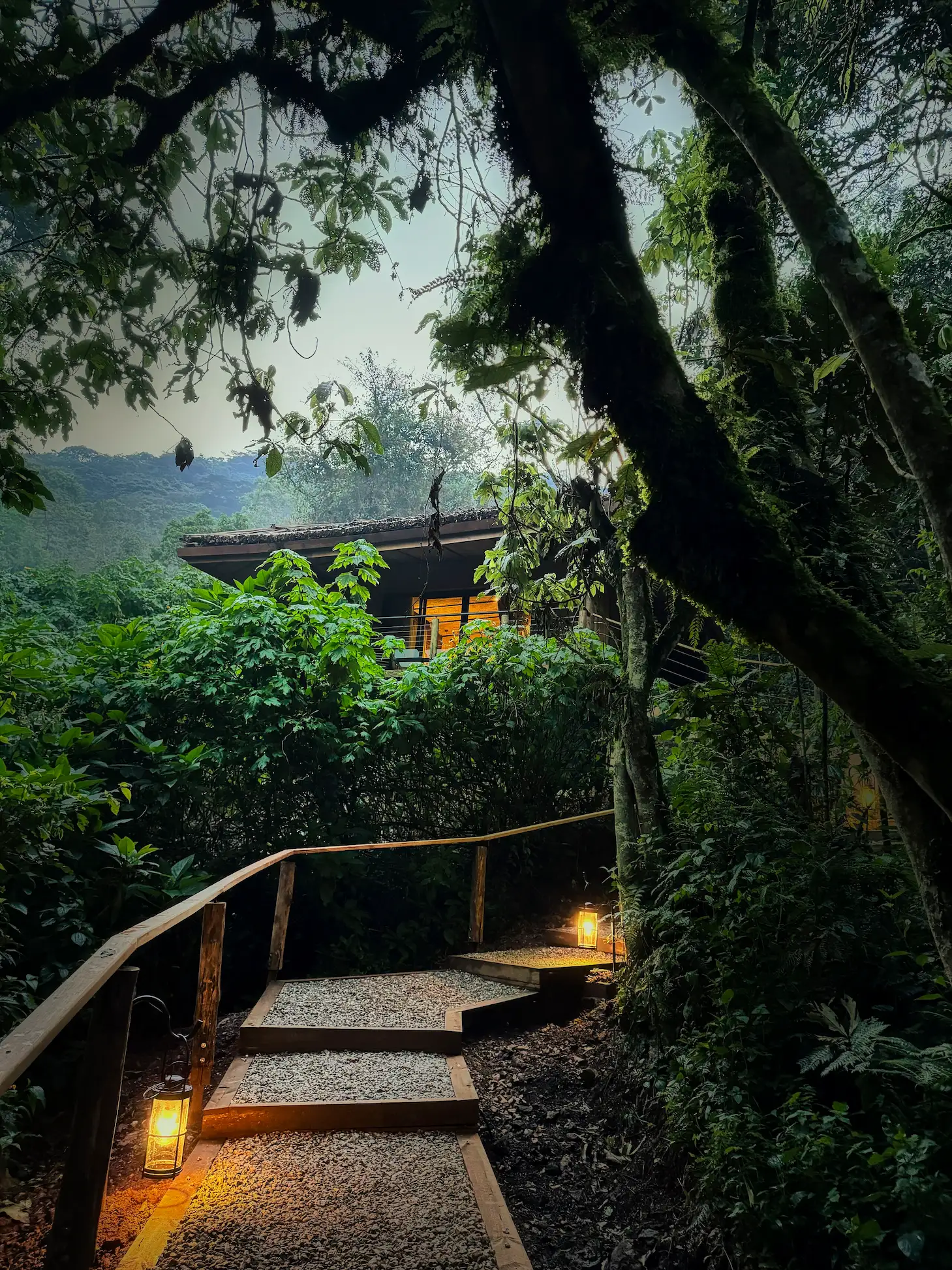 Mount Gorilla View Lodge