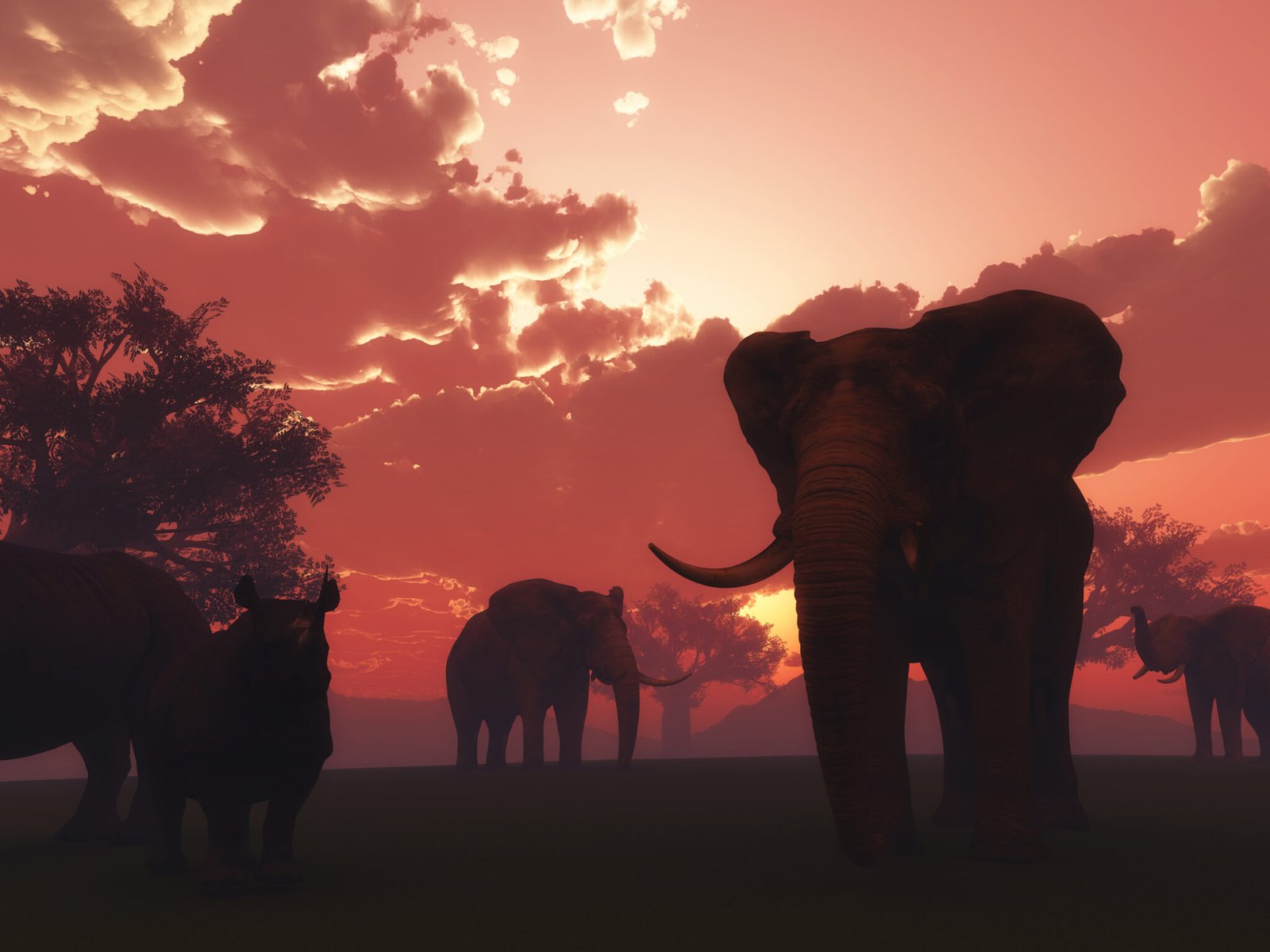 Walking Safari at Ol Pejeta Conservancy - Sanctuary Tambarare, Kenya