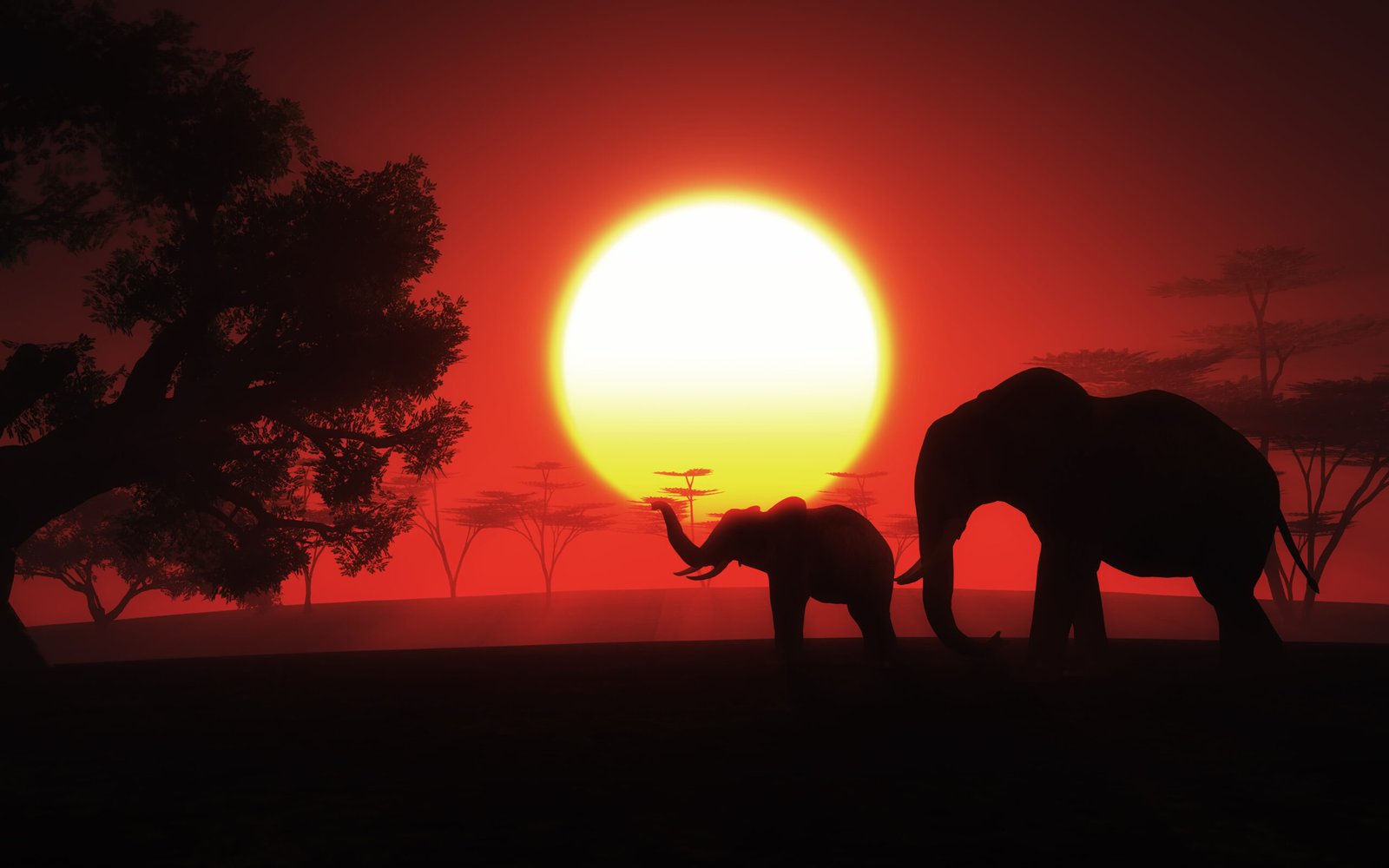 Kaboso Safari Camp - Luxury Tented Camp in Masai Mara, Kenya. Wildlife Viewing and Game Drives.